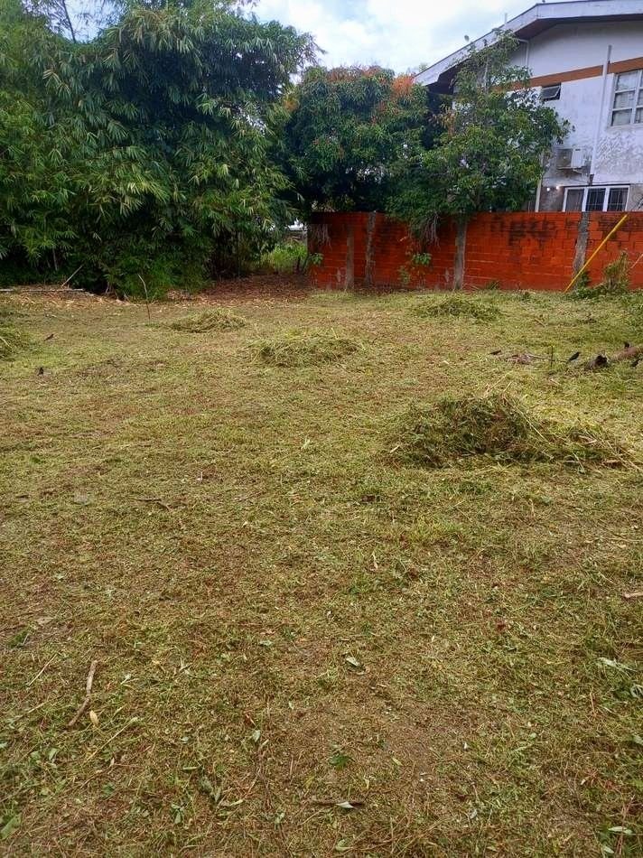 Wide view across the lawn to the brick boundary wall.